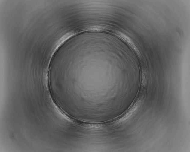 X0000115250802200911131723