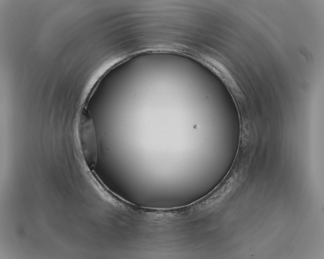 X0000115250804200911131723