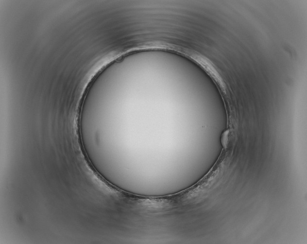 X0000115250805200911131723