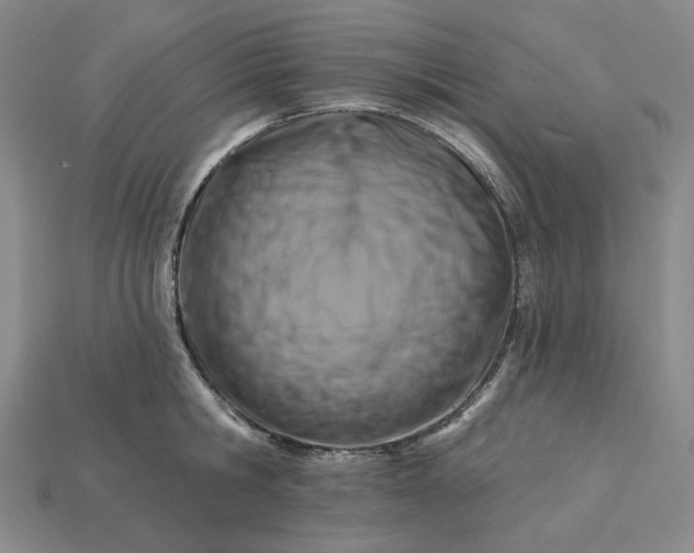 X0000115250806200911131723