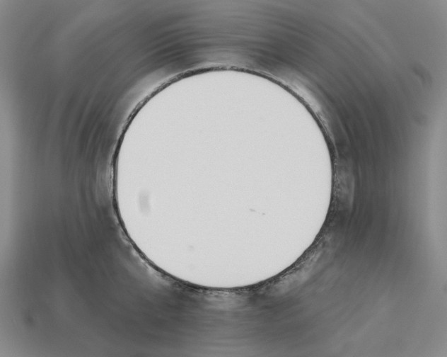 X0000115250807200911131723