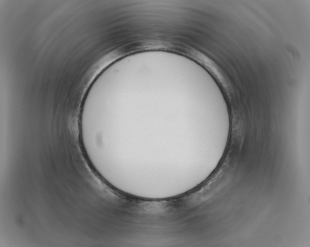 X0000115250810200911131723