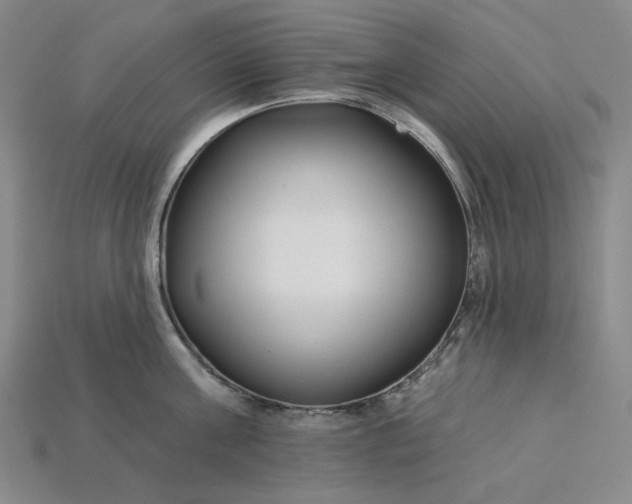 X0000115250811200911131723