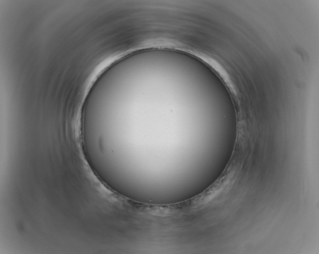 X0000115250815200911131723