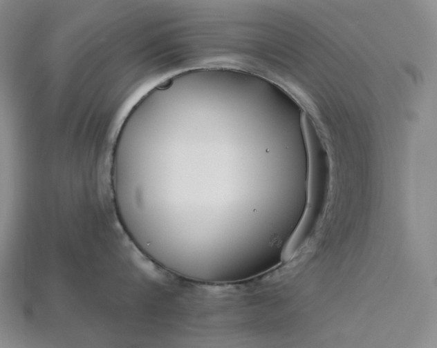 X0000115250816200911131723