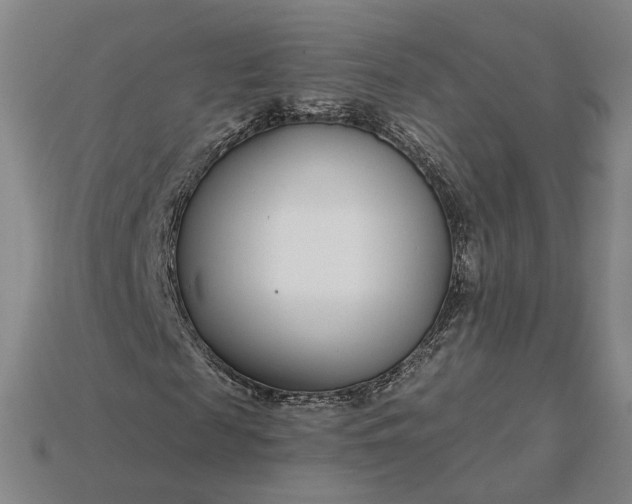 X0000115250817200911131722