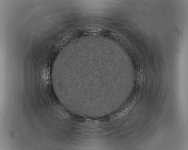 X0000115250818200911131722