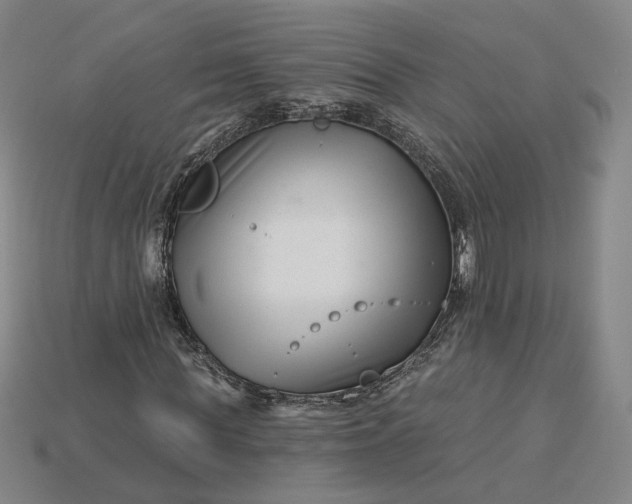 X0000115250819200911131722