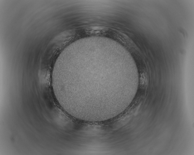 X0000115250820200911131722