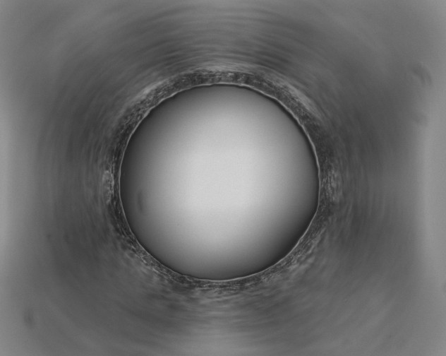 X0000115250821200911131722