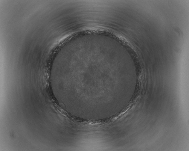 X0000115250822200911131722