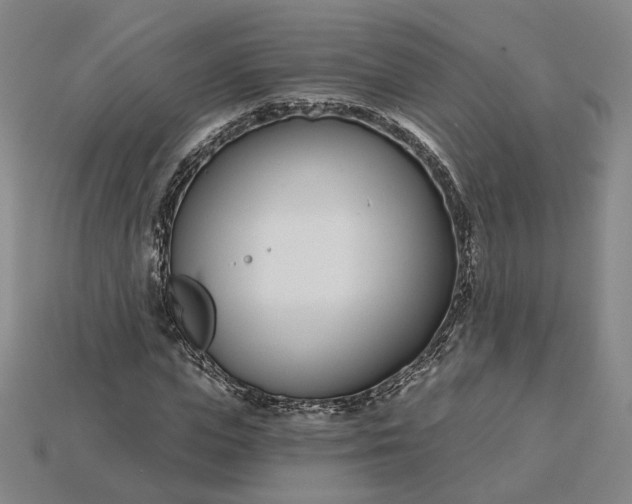 X0000115250823200911131722