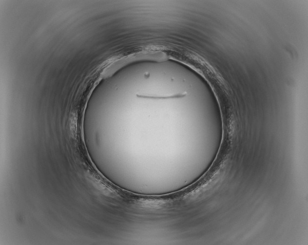 X0000115250825200911131722