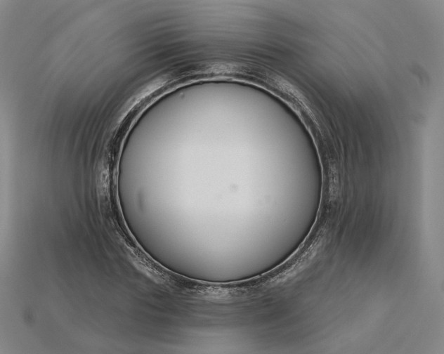 X0000115250827200911131722