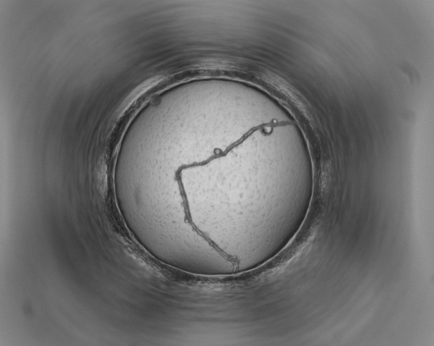 X0000115250829200911131722