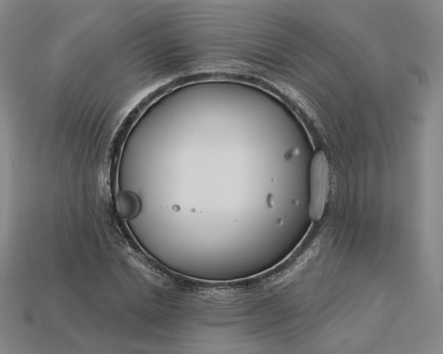 X0000115250830200911131722