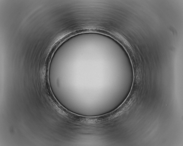 X0000115250831200911131722