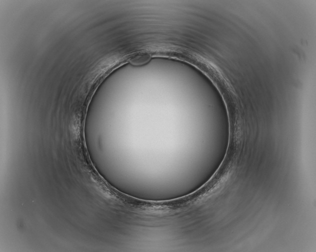 X0000115250833200911131722