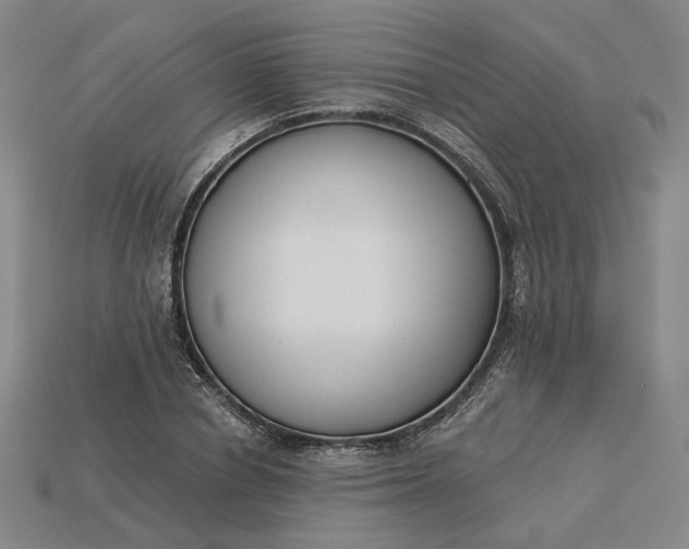 X0000115250834200911131722