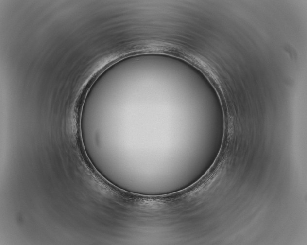 X0000115250835200911131722