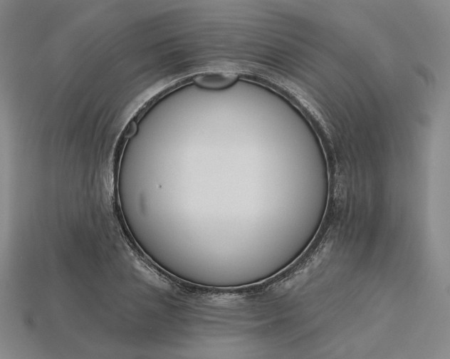 X0000115250837200911131722