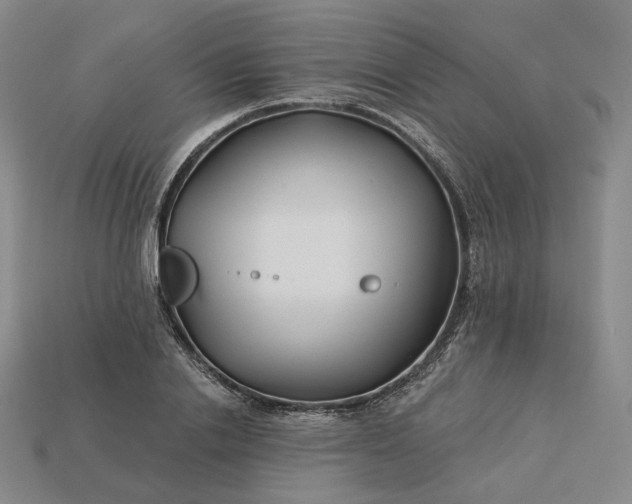 X0000115250838200911131722