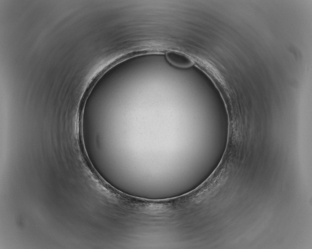 X0000115250839200911131722