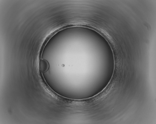 X0000115250840200911131722