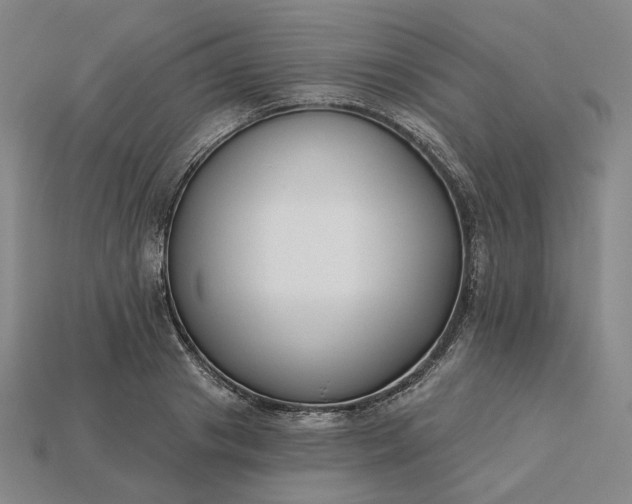 X0000115250841200911131722