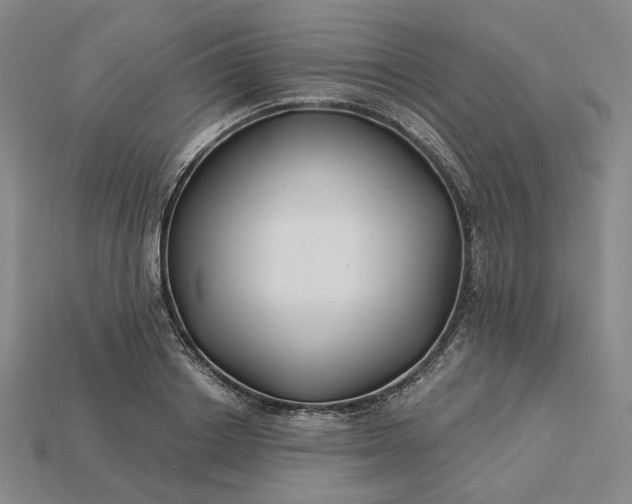 X0000115250842200911131723