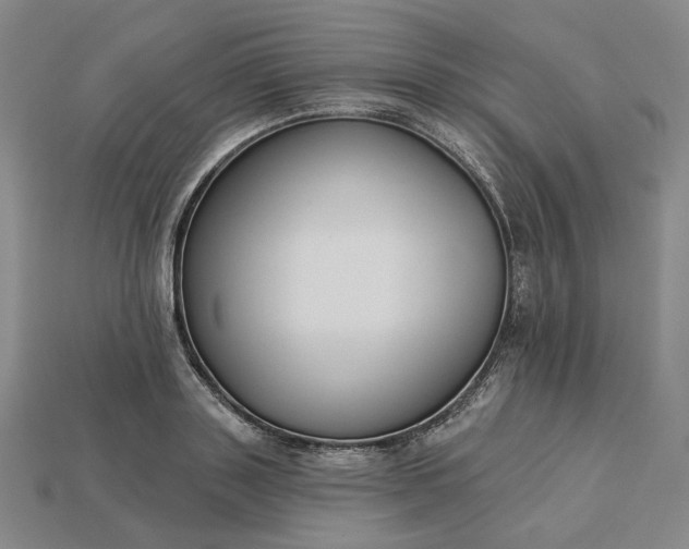 X0000115250843200911131723