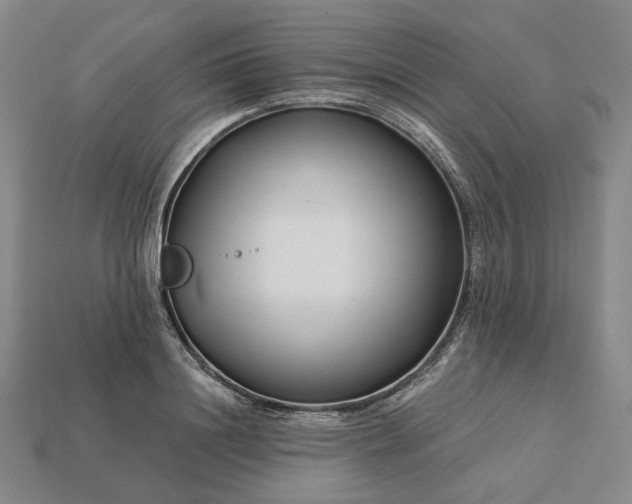 X0000115250844200911131723