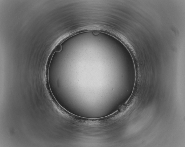 X0000115250845200911131723