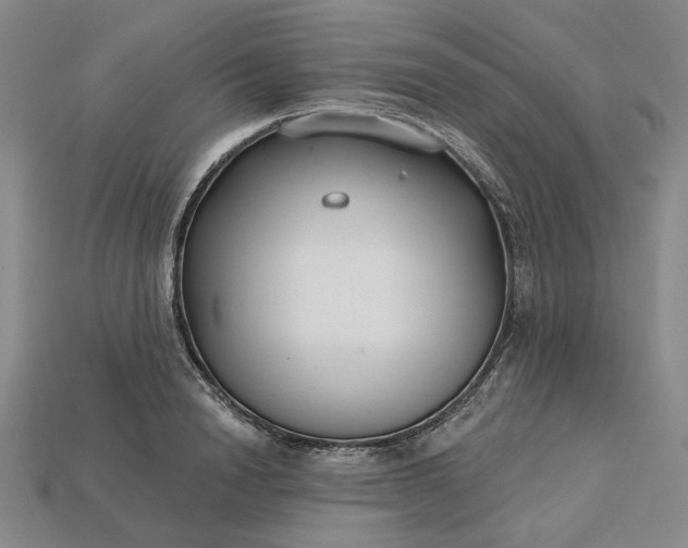 X0000115250846200911131723