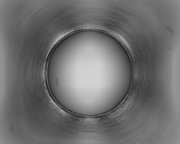 X0000115250847200911131723