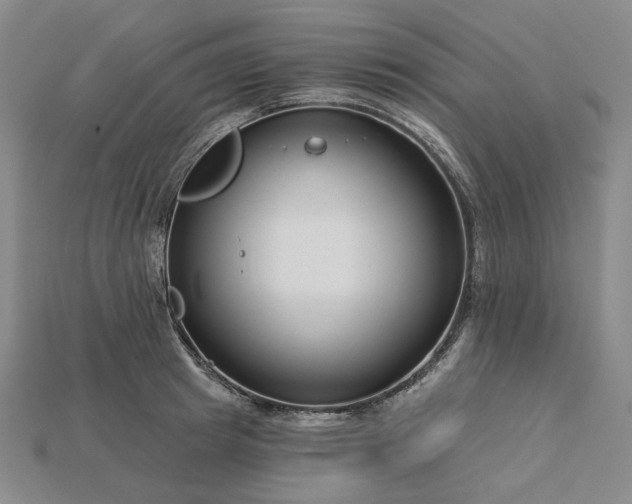 X0000115250849200911131723