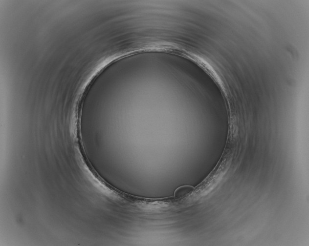 X0000115250851200911131723