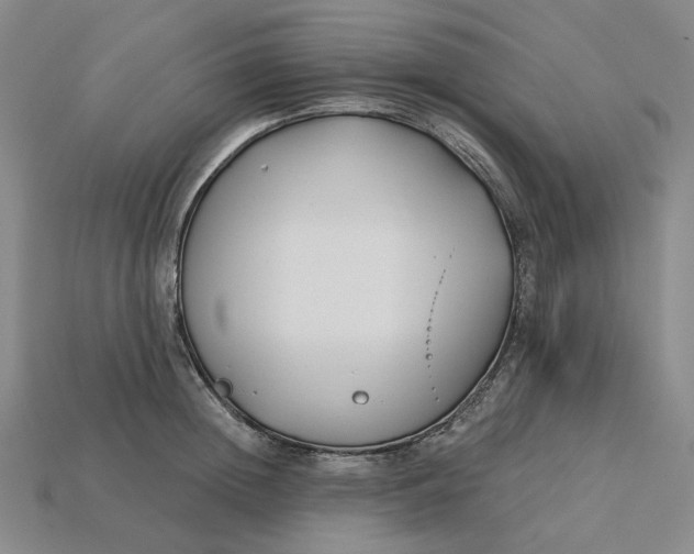 X0000115250852200911131723