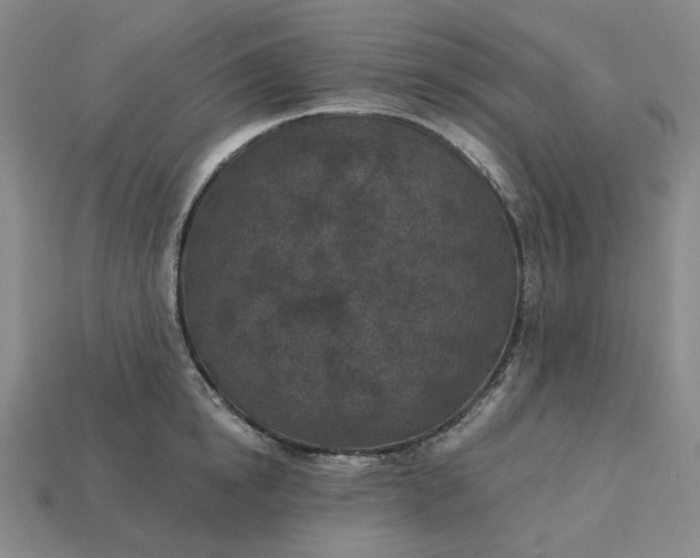 X0000115250854200911131723