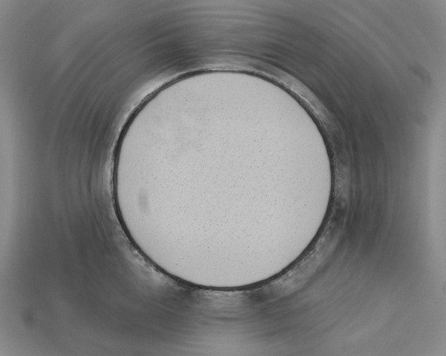 X0000115250856200911131723