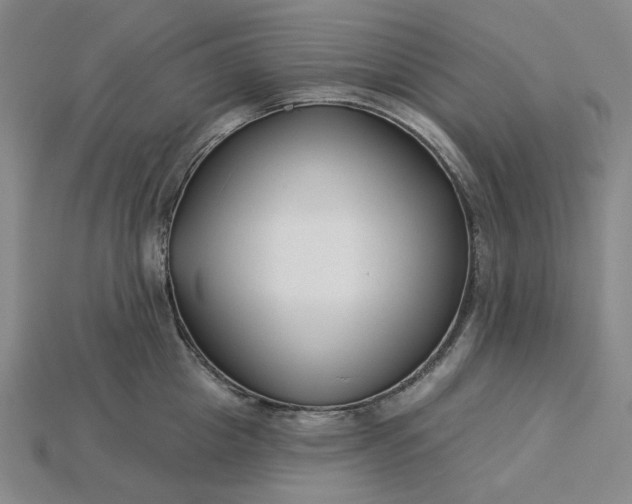 X0000115250857200911131723