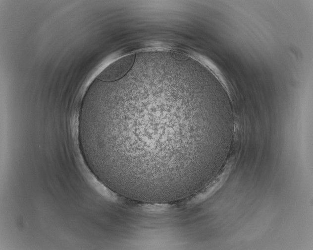 X0000115250859200911131723