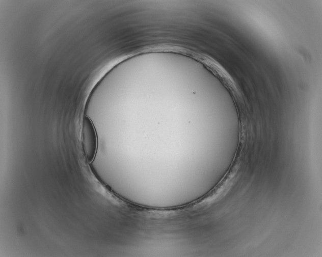 X0000115250860200911131723