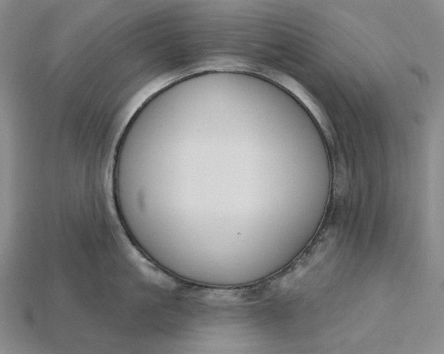 X0000115250861200911131723