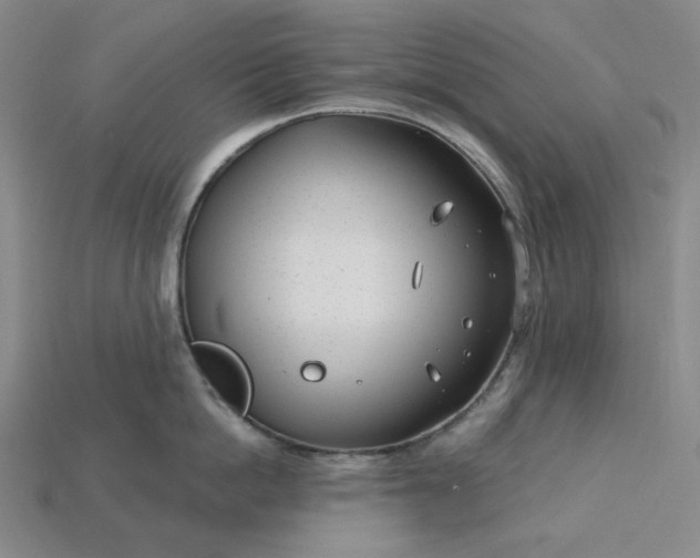 X0000115250862200911131723