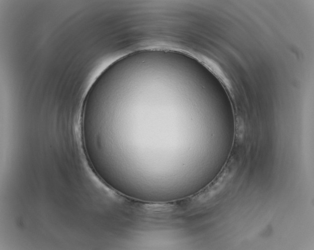 X0000115250863200911131723