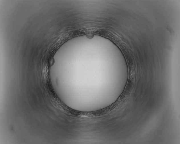 X0000115250866200911131722