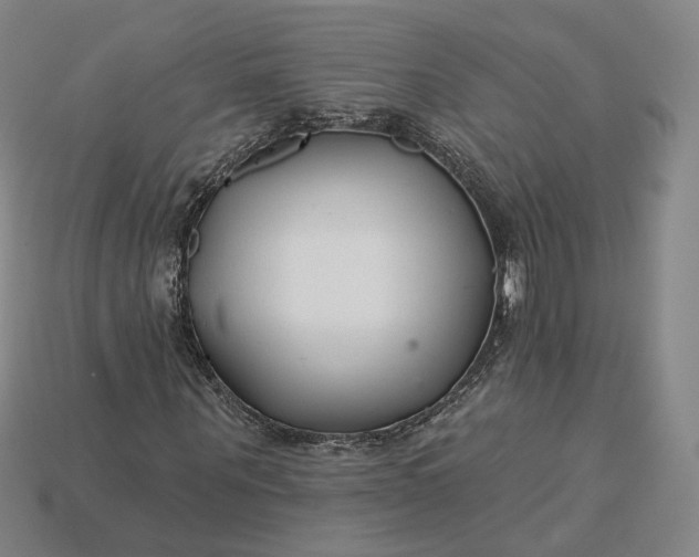 X0000115250867200911131722