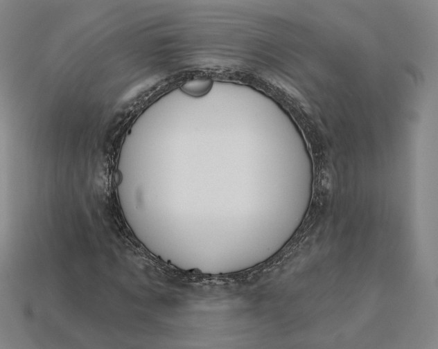 X0000115250869200911131722