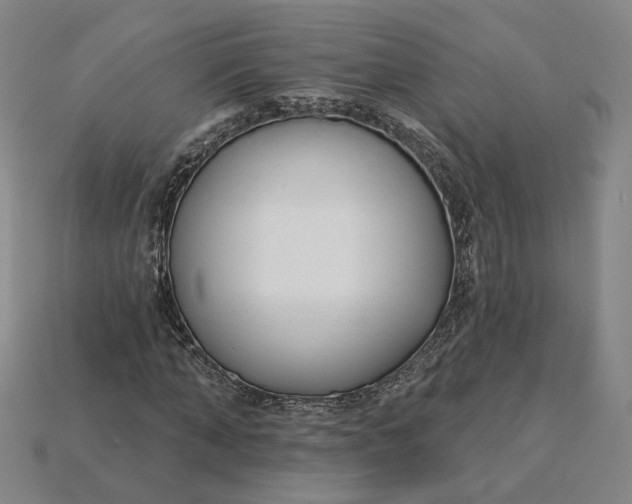 X0000115250870200911131722